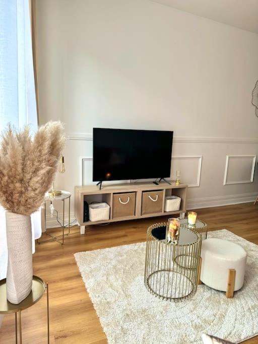 Appartement Avec Magnifique Vue Sur La Saone Et Son Balcon Chalon-sur-Saône Kültér fotó